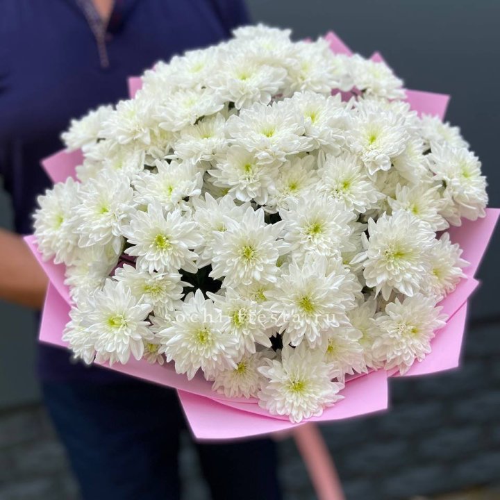  Букет 15 хризантем  в Армавире