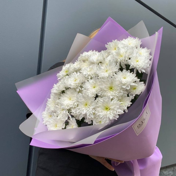  7 хризантем  в Армавире