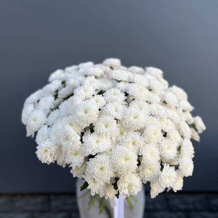  25 хризантем белых в Армавире