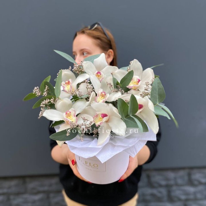 7 орхидей в боксе в Армавире