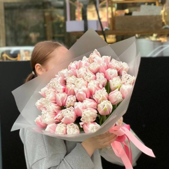 51 нежный тюльпан в Армавире