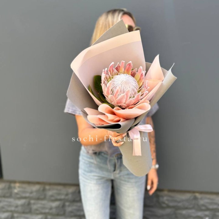 Протея мини  в Армавире