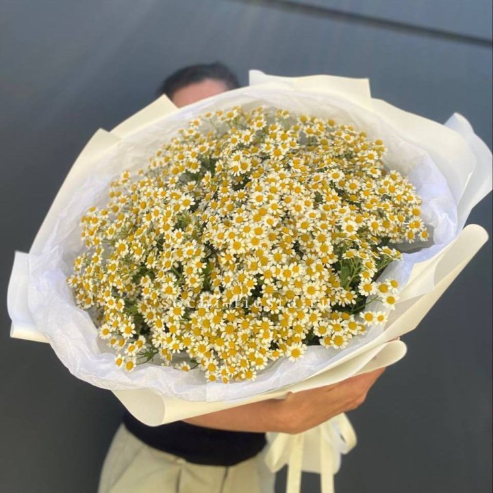 Букет ромашек №2 в Армавире