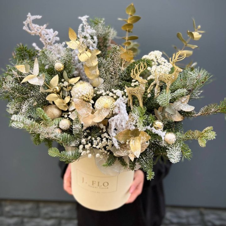 Золотой бокс с нобилисом в Армавире