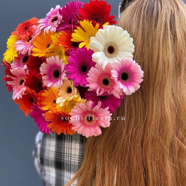 Охапка гербер  в Армавире