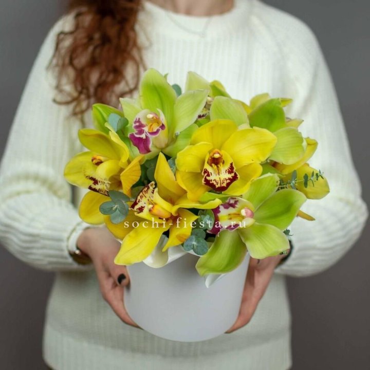 Бокс с орхидей №1 в Армавире