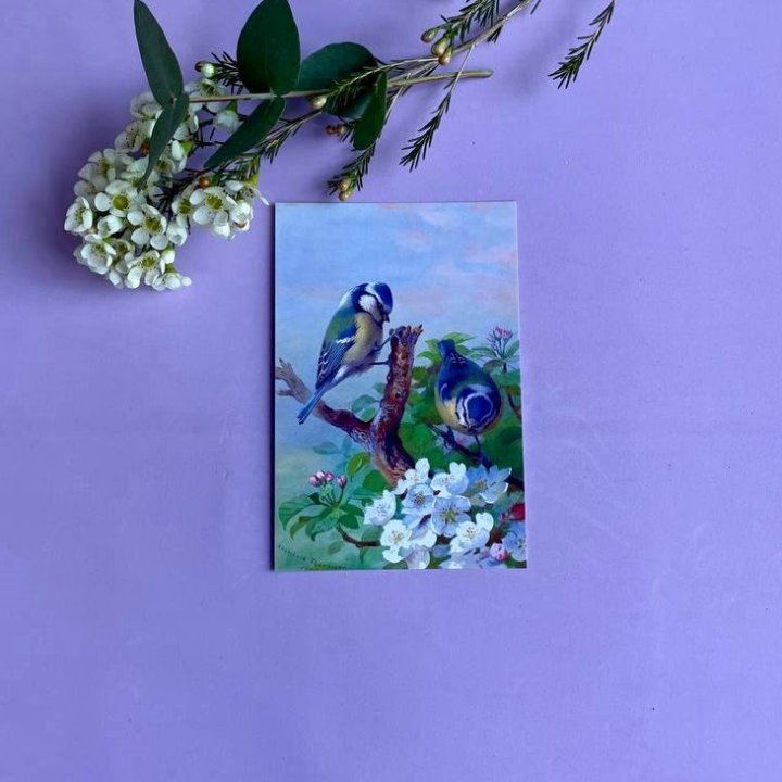 Открытка к букету "Птицы" в Армавире