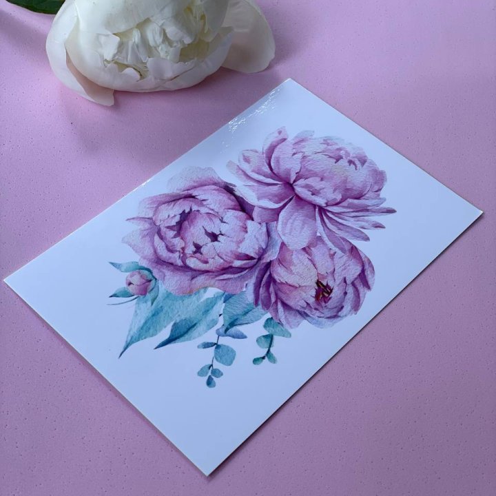 Открытка к букету "Пионы" в Армавире