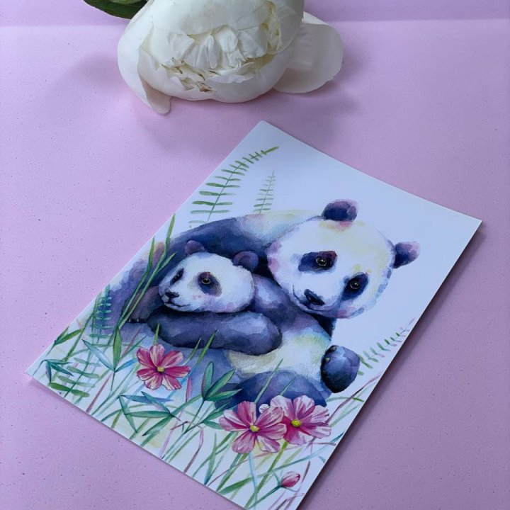 Открытка к букету "Объятие Панды" в Армавире