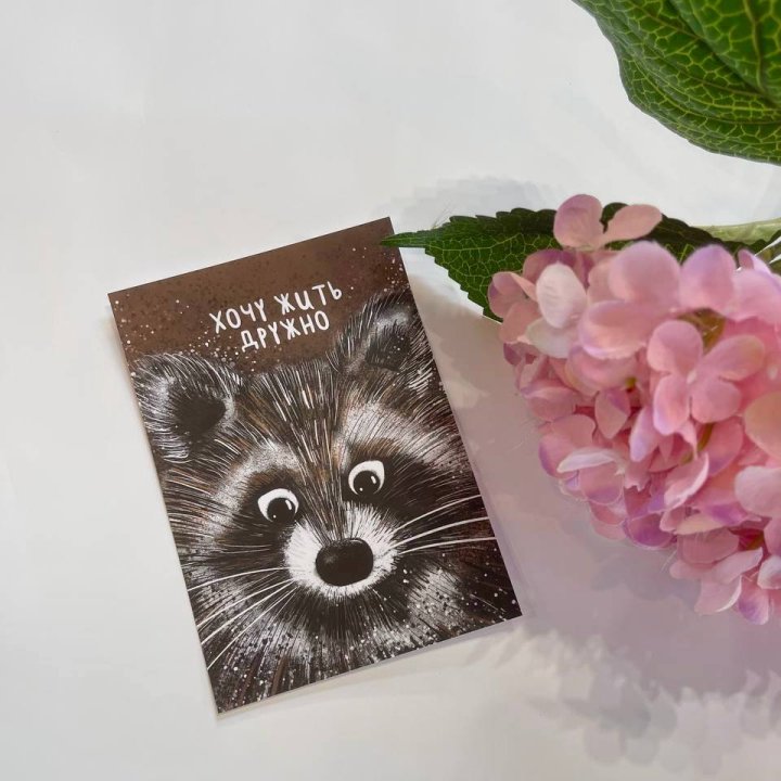 Открытка к букету "Енотик" в Армавире