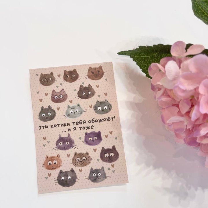 Открытка к букету "Котики" в Армавире