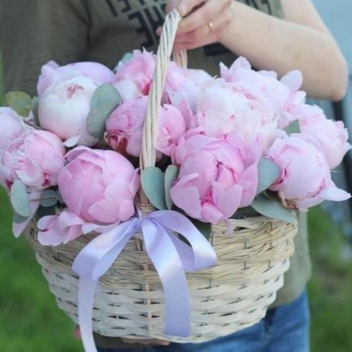 15 пионов в корзине в Армавире