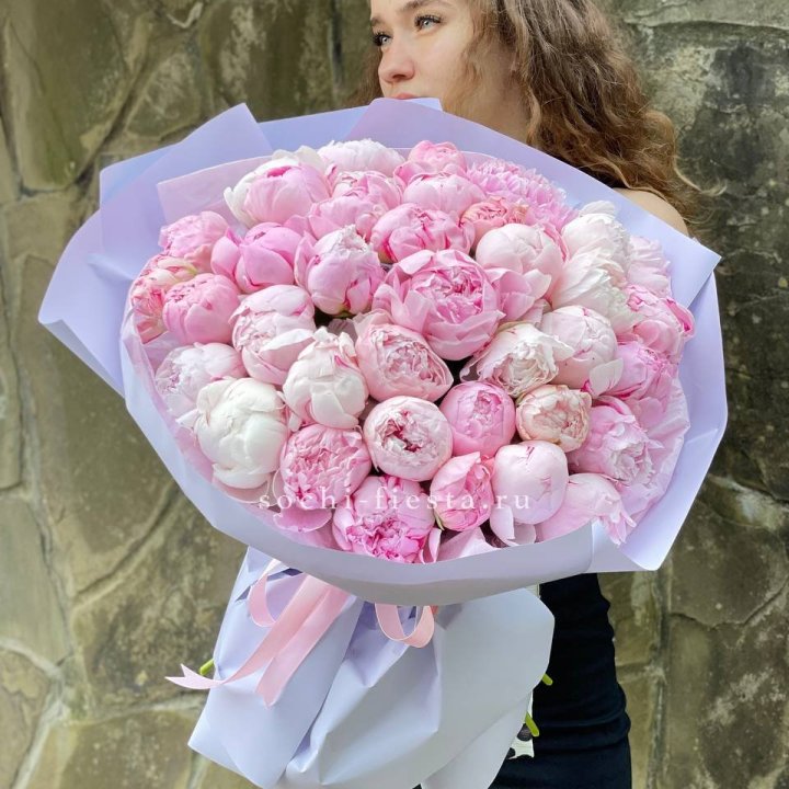 39 нежных пионов в Армавире