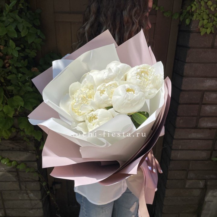 9 белоснежных пионов в Армавире
