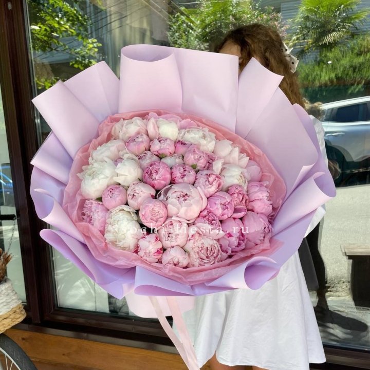 51 розовый пион в Армавире