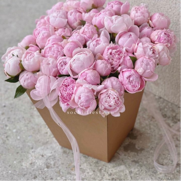 49 пионов в крафт коробке в Армавире