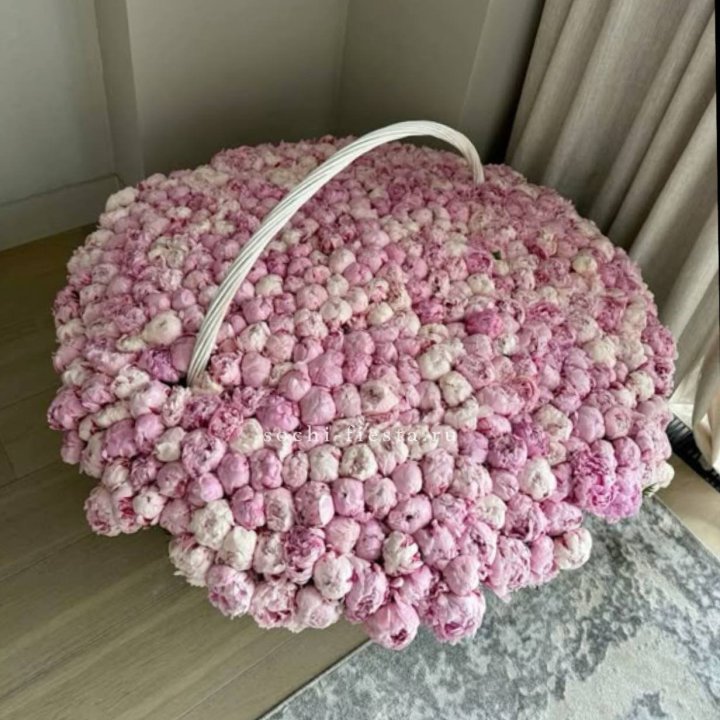 Корзина 555 пионов в Армавире