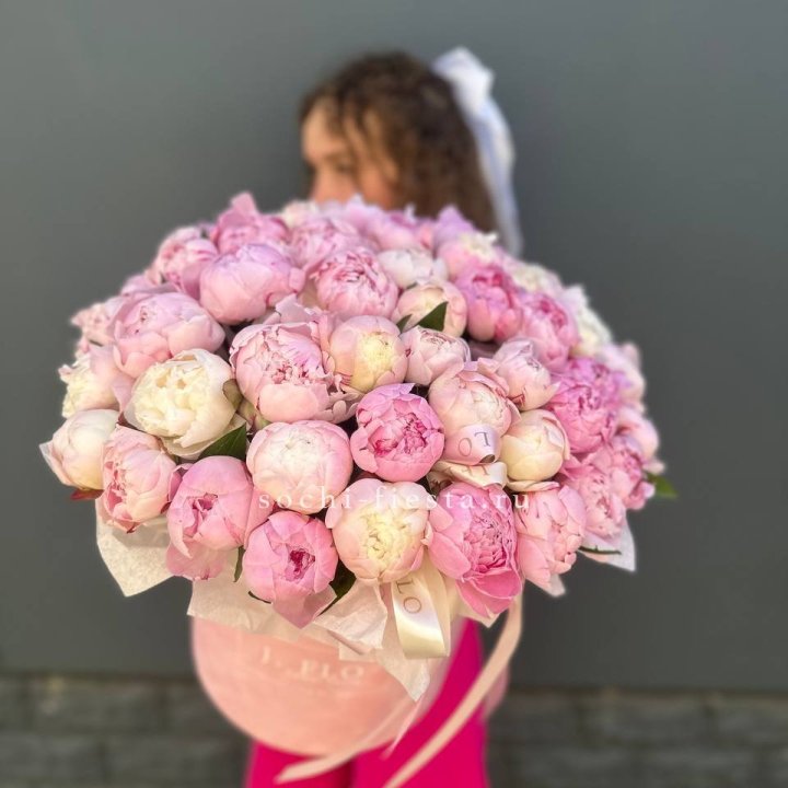 51 нежных пионов  в цилиндре в Армавире