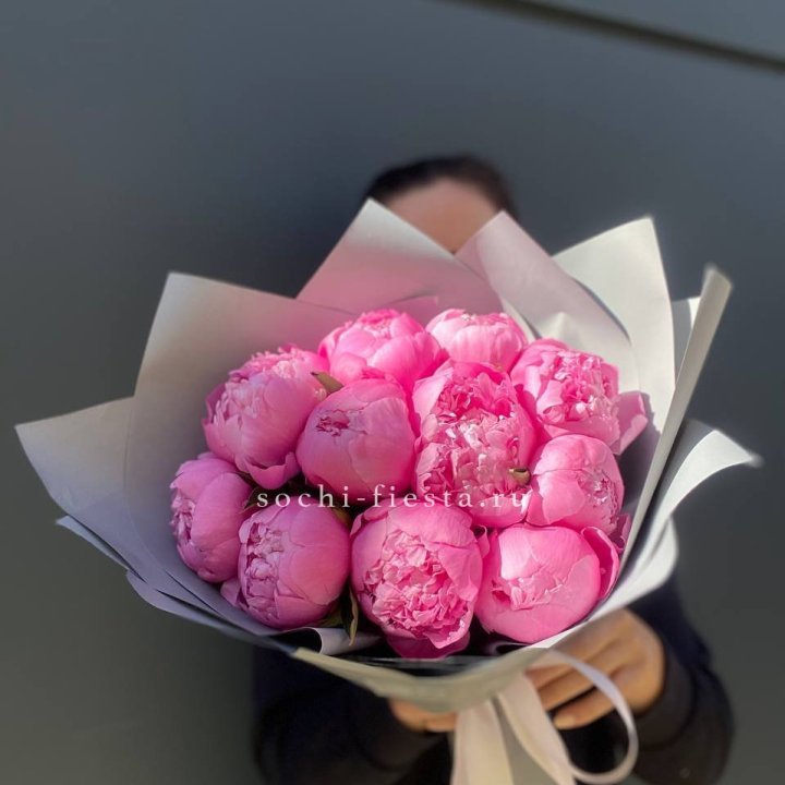 Пионы Алекс флеминг в Армавире