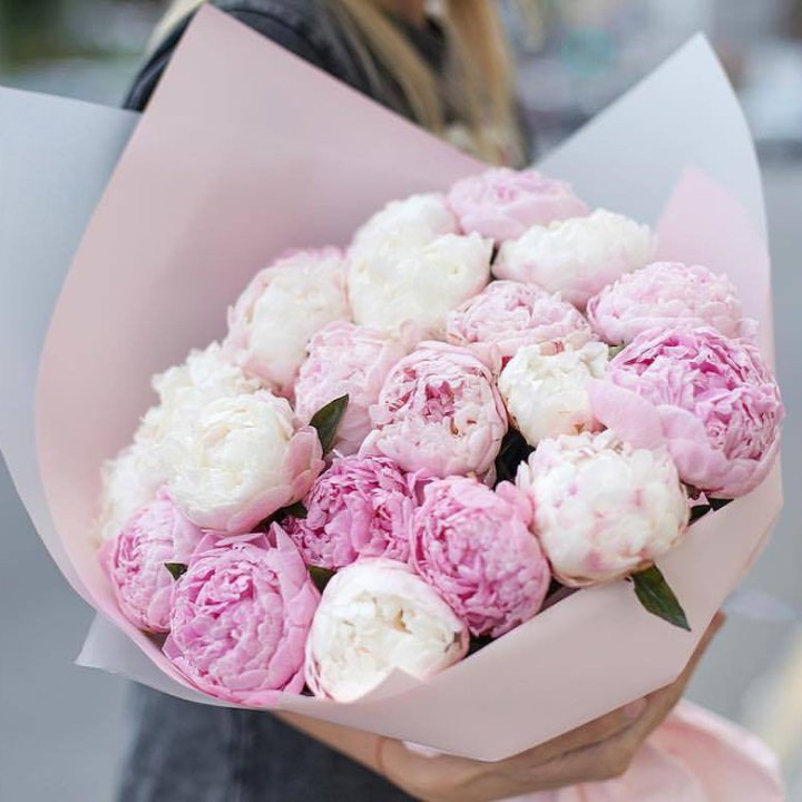 Букет пионов "Бутоника" в Армавире