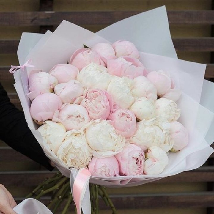 29 пионов в Армавире