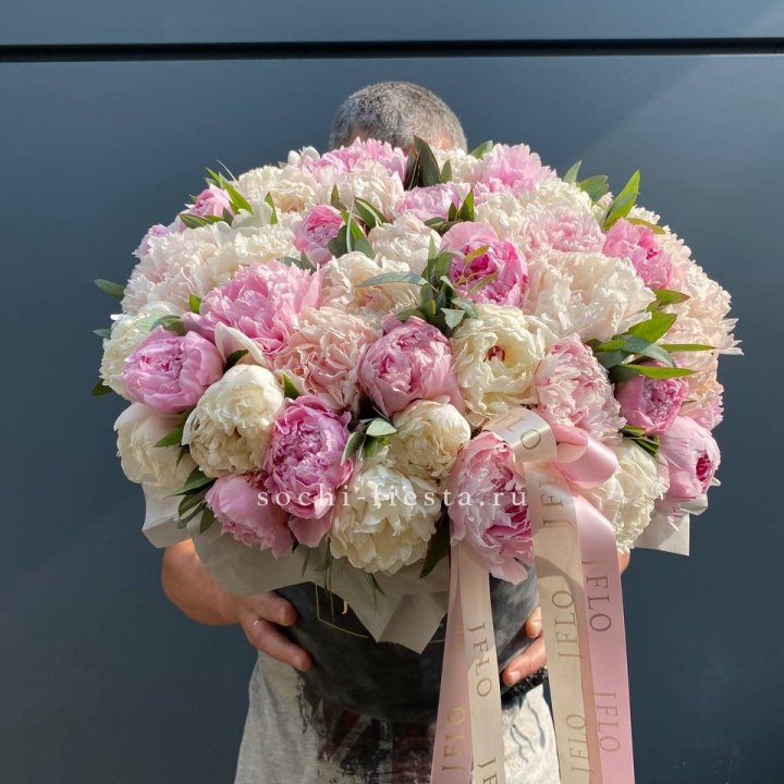 51 пионов в боксе в Армавире