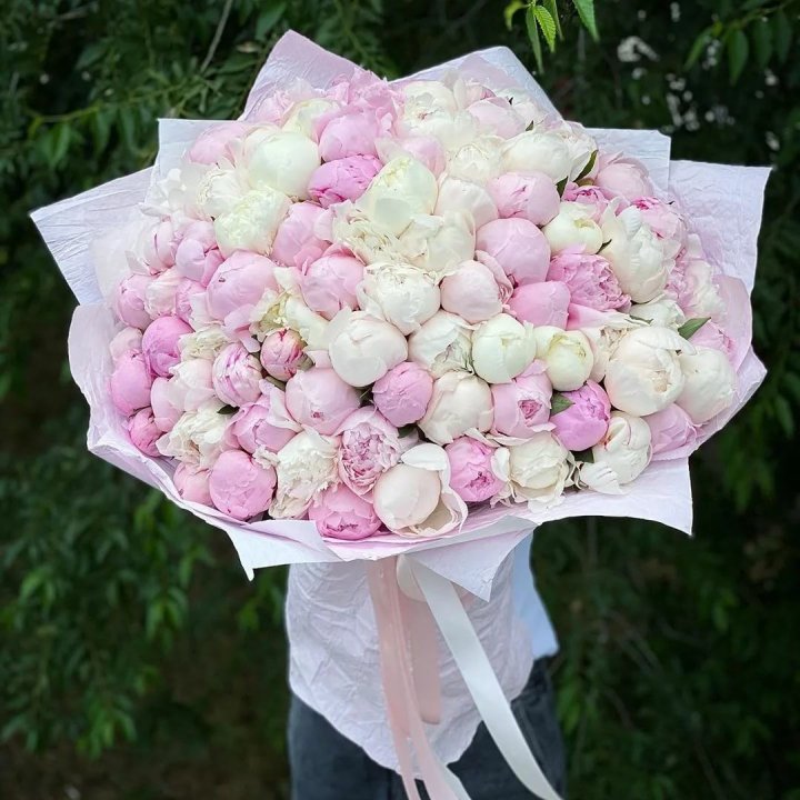 101 пион в Армавире