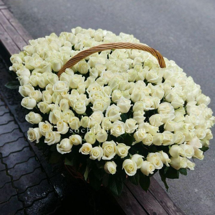303 розы в корзине в Армавире