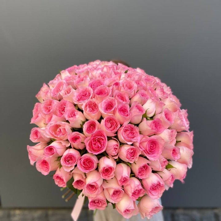 101 розовая роза в Армавире