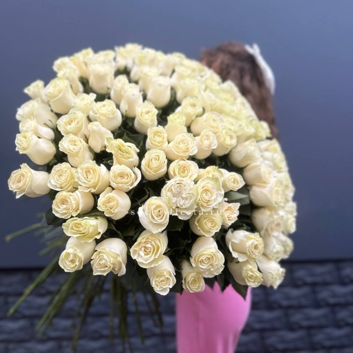 101 белая высокая импортная роза под ленту в Армавире