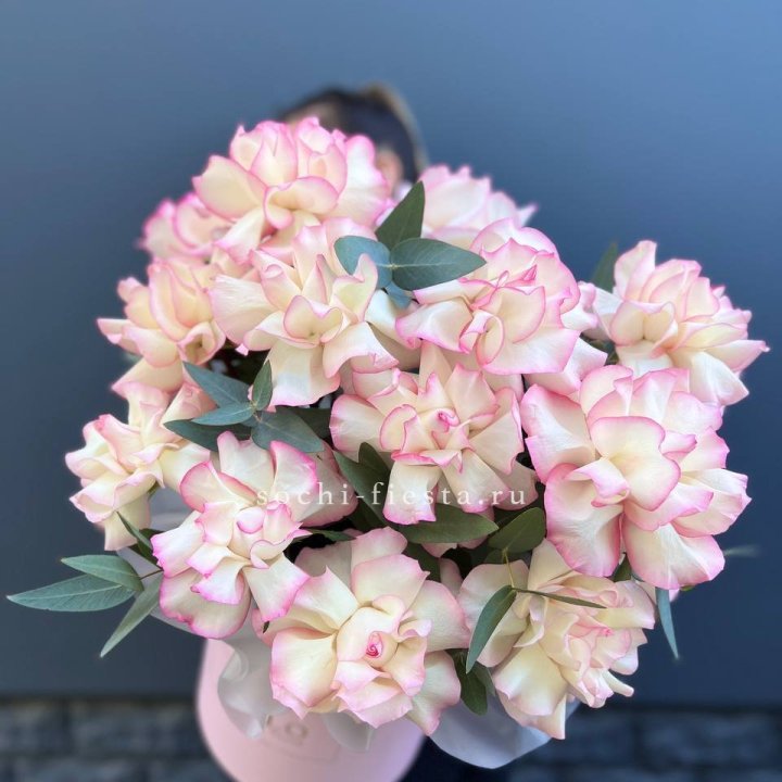 15 Французских роз Джумилия в боксе в Армавире