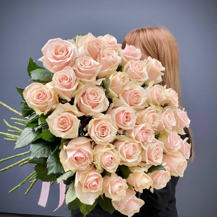 35 кремовых высоких роз в Армавире