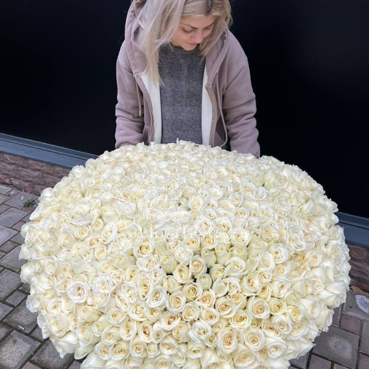 501 белая роза в корзине в Армавире