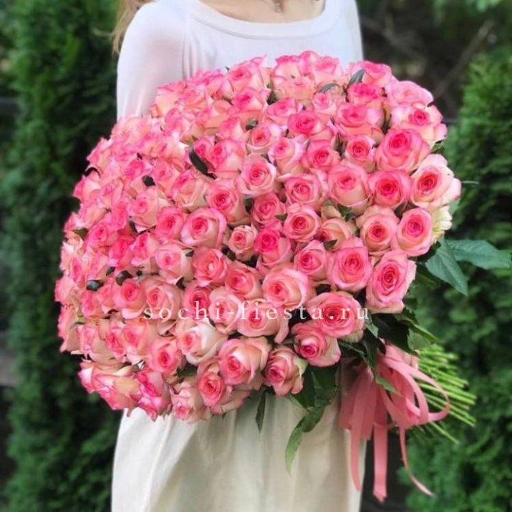 101  джумилия роза  в Армавире