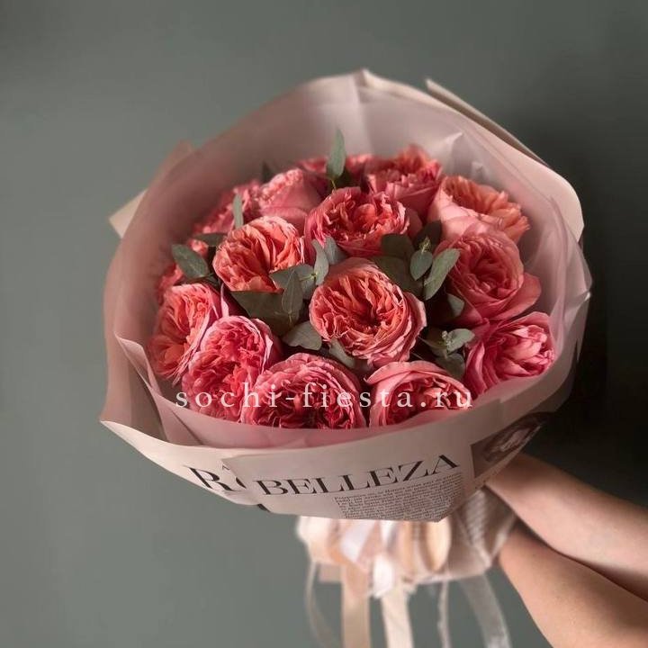 15 Пинк экспрешен в Армавире