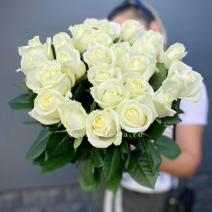 Голландские розы белые 25 в Армавире
