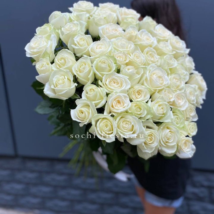 51 белоснежная высокая роза в Армавире