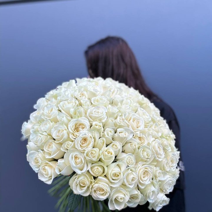Охапка из 101 белой розы  в Армавире