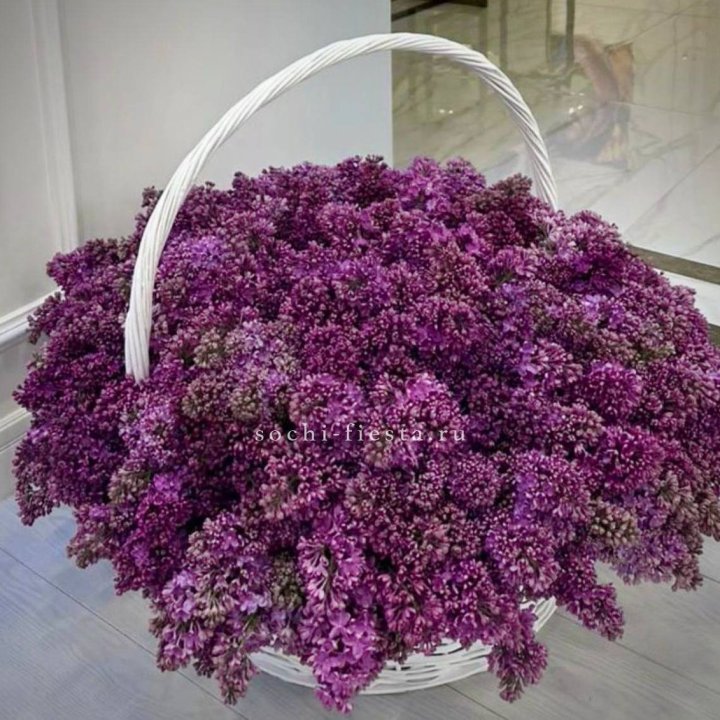 Корзина сирени в Армавире