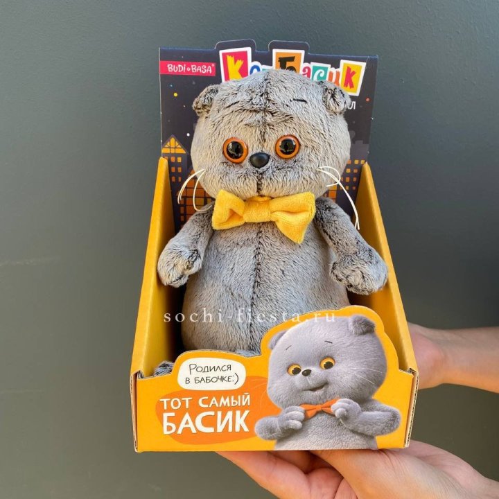 Кот Басик с бабочкой в Армавире