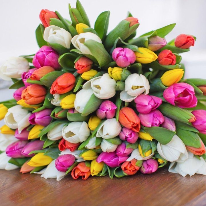 79 тюльпанов "Рандом" в Армавире