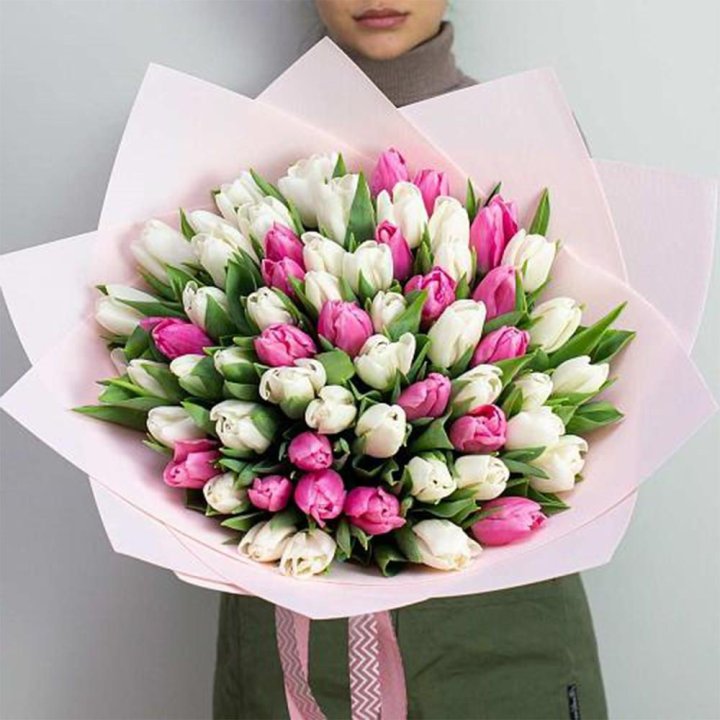 61 бело-розовый тюльпан в Армавире