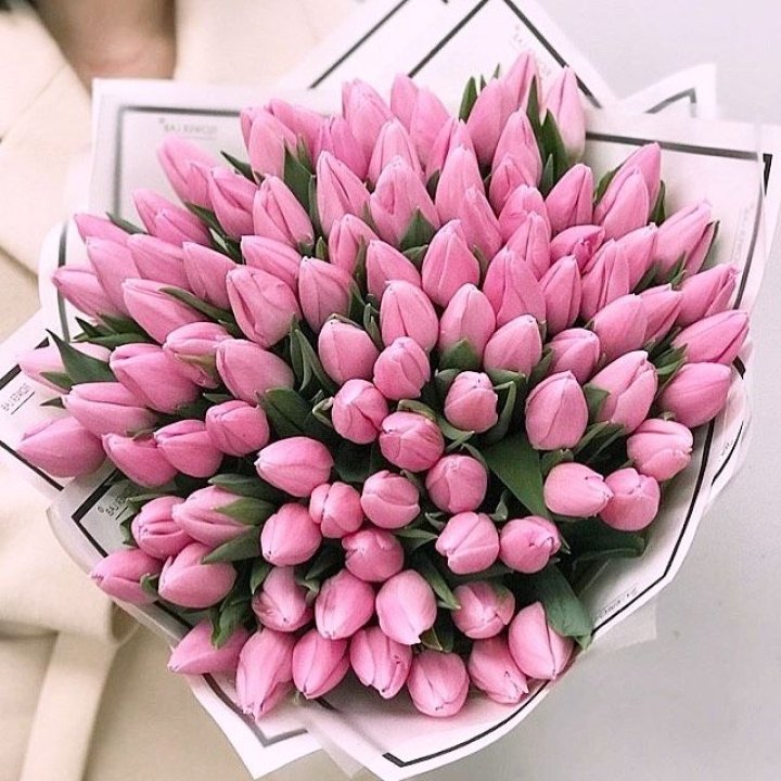 101 розовый тюльпан в белом в Армавире