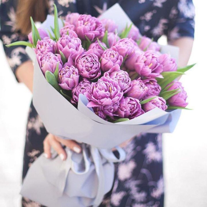 Тюльпаны "Пионс" в Армавире