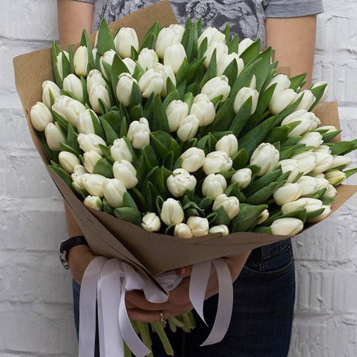 101 тюльпан сноу в Армавире