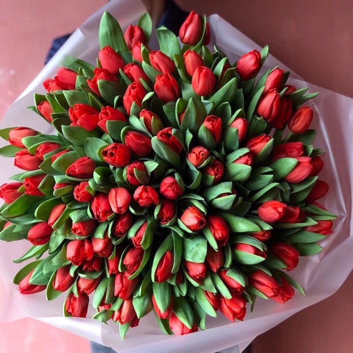 101 красный тюльпан в Армавире